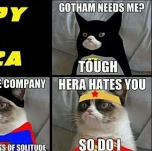 Meet your Posher, Jason